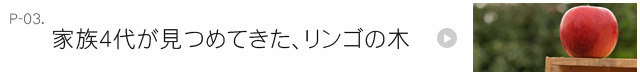 家族４代が見つめてきた、リンゴの木